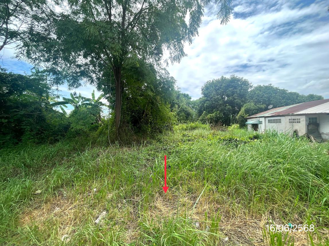 picture LAND for sale Ngiu Rai Taphan Hin Phichit - 8/12