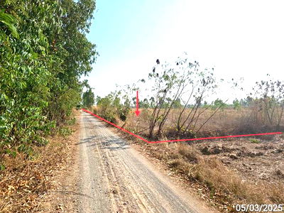Land for sale Wang Thong Phitsanulok : LAND for sale  Mae Raka Wang Thong Phitsanulok