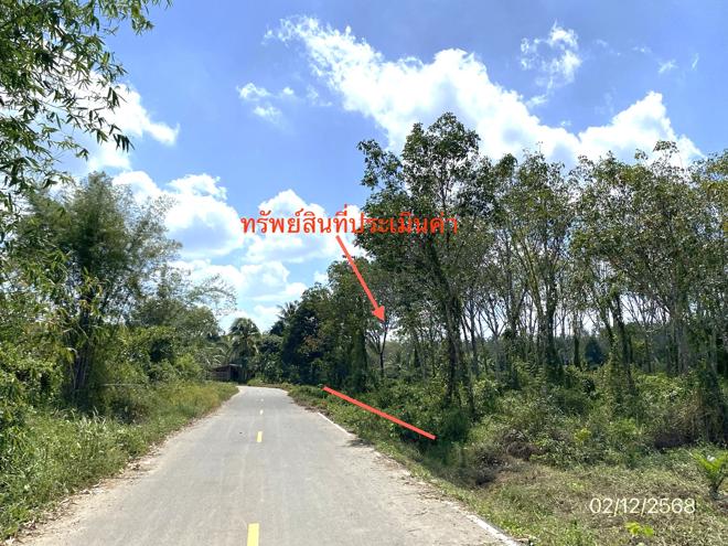 รูป ที่ดินว่างเปล่า สำหรับขาย - เกาะเปียะ ย่านตาขาว ตรัง - รูปที่ 5/20