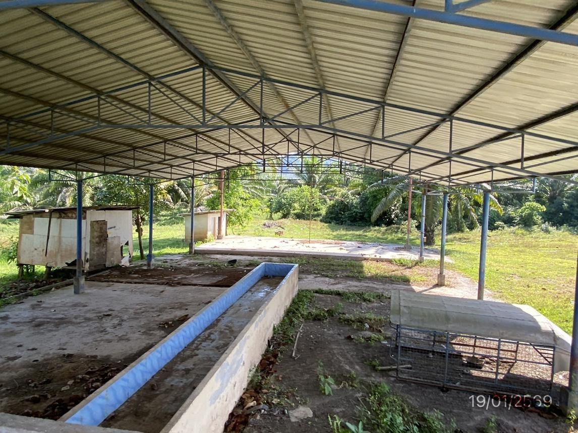 รูป บ้านเดี่ยว สำหรับขาย - เขาไม้แก้ว สิเกา ตรัง - รูปที่ 25/34