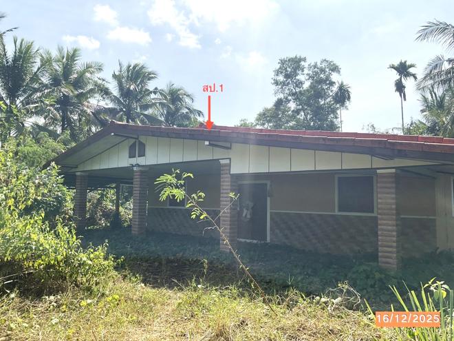 รูป บ้านเดี่ยว สำหรับขาย - นาตาล่วง เมืองตรัง ตรัง - รูปที่ 1/24