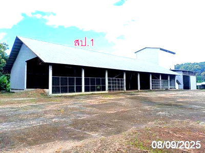 โรงงาน แม่ฮ่องสอน : โกดัง สำหรับขาย - เมืองปอน ขุนยวม แม่ฮ่องสอน