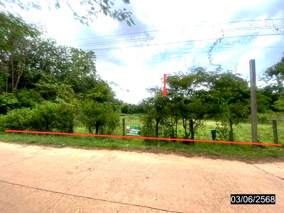 ที่ดินว่างเปล่า สำหรับขาย - ศรีวิไล ศรีวิไล บึงกาฬ