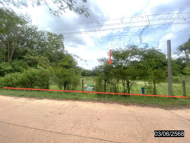 picture LAND for sale  Sri Wilai null Nongkai - 1/24