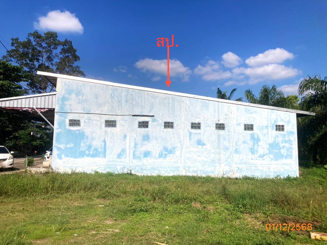 รูป บ้านเดี่ยว สำหรับขาย - บางสวรรค์ พระแสง สุราษฎร์ธานี - รูปที่ 9/18