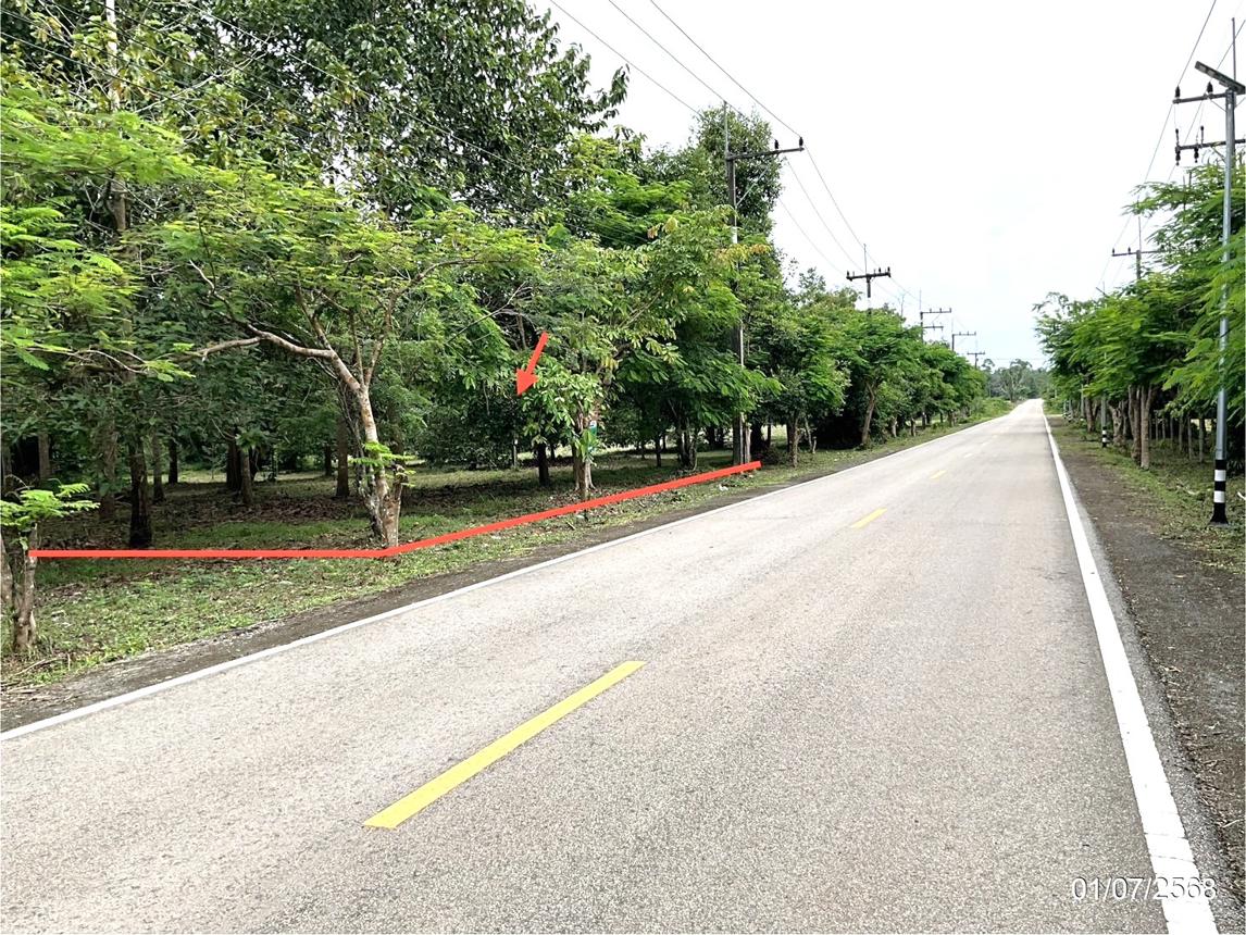 รูป ที่ดินว่างเปล่า สำหรับขาย ฺฮิลล์ไซด์ คันทรีโฮม นนทรี กบินทร์บุรี ปราจีนบุรี - รูปที่ 9/16