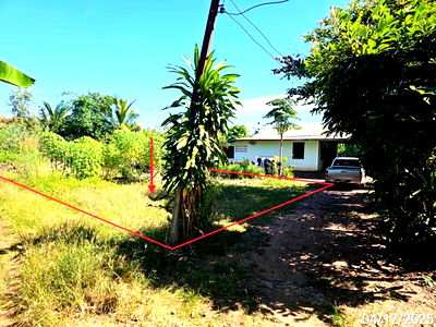 Land for sale Phetchabun : LAND for sale  Tha Khao Chon Daen Phetchabun
