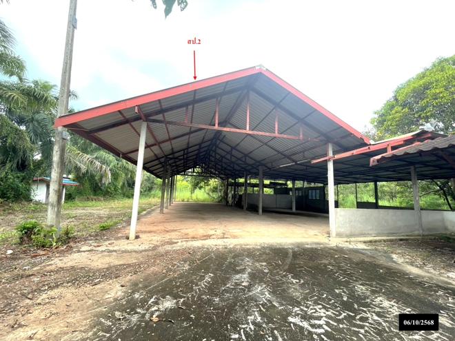 รูป บ้านเดี่ยว สำหรับขาย - บงใต้ สว่างแดนดิน สกลนคร - รูปที่ 11/42