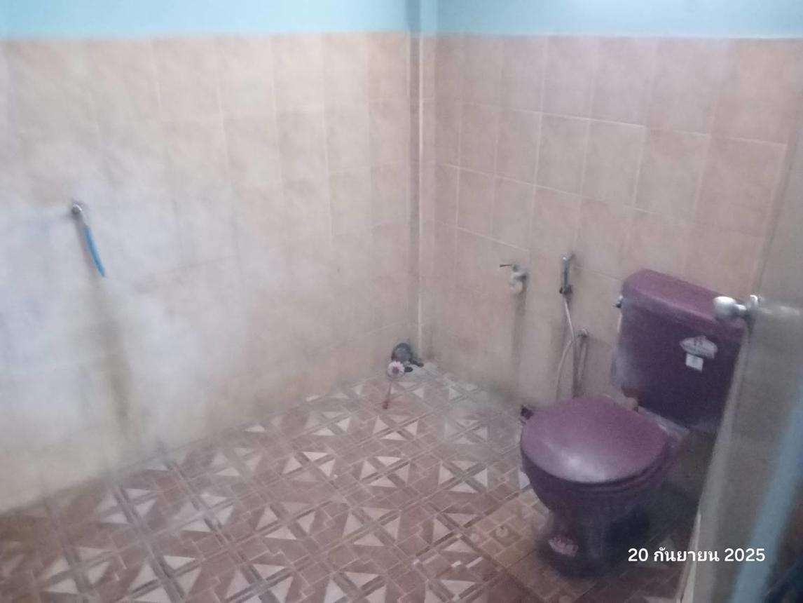 รูป บ้านเดี่ยว สำหรับขาย - บ้านแป้น เมืองลำพูน ลำพูน - รูปที่ 28/32