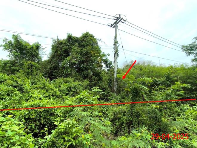 picture HOME for sale  Mae Pa Thoen Lamphang - 20/46