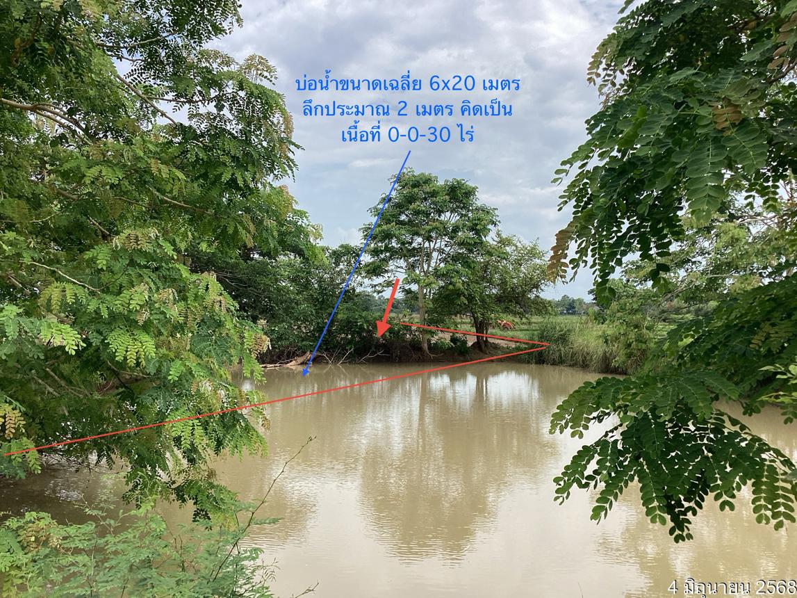 รูป ที่ดินว่างเปล่า สำหรับขาย - คือเวียง ดอกคำใต้ พะเยา - รูปที่ 13/24