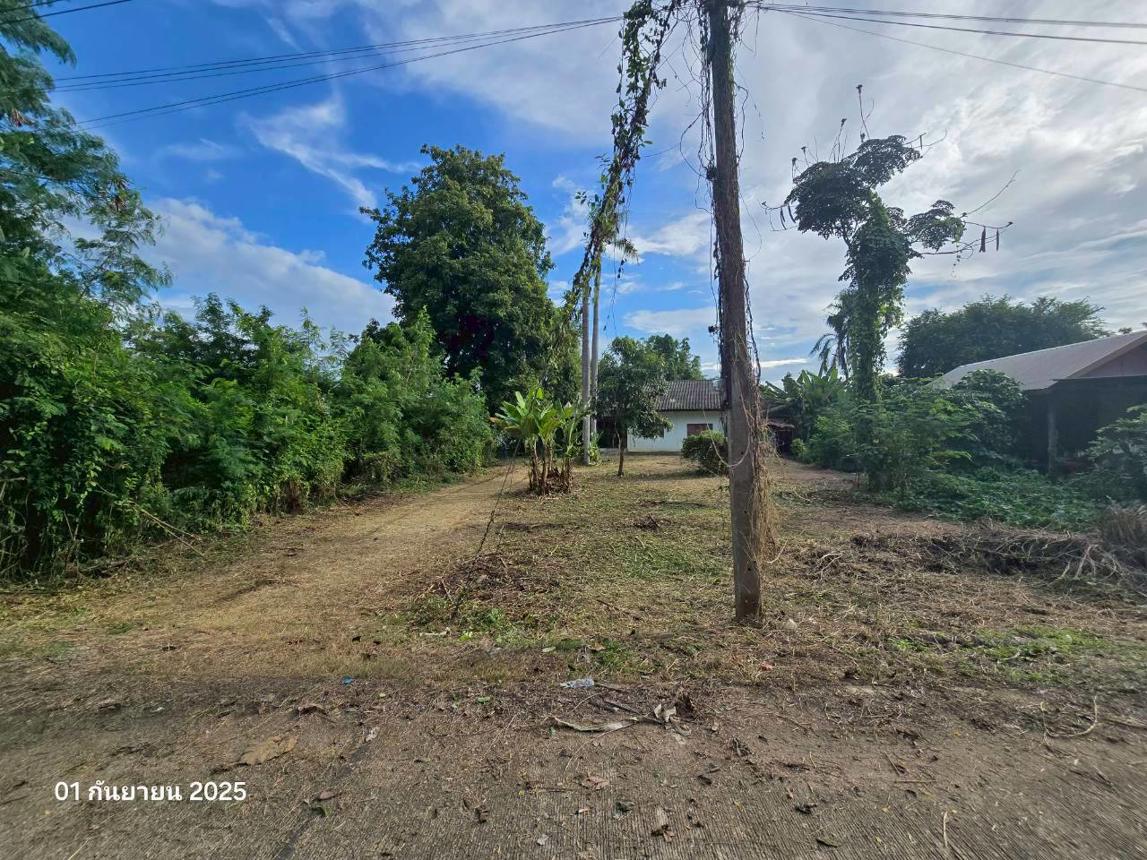 picture HOME for sale Thapnimit Bung Samakkhi Kamphaeng Phet - 22/44