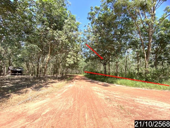 รูป ที่ดินว่างเปล่า สำหรับขาย - จุมพล โพนพิสัย หนองคาย - รูปที่ 7/20