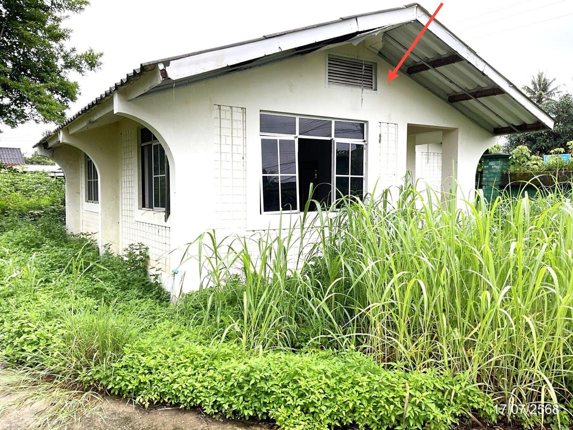 รูป บ้านเดี่ยว สำหรับขาย - ท่าสาย เมืองเชียงราย เชียงราย - รูปที่ 52/64