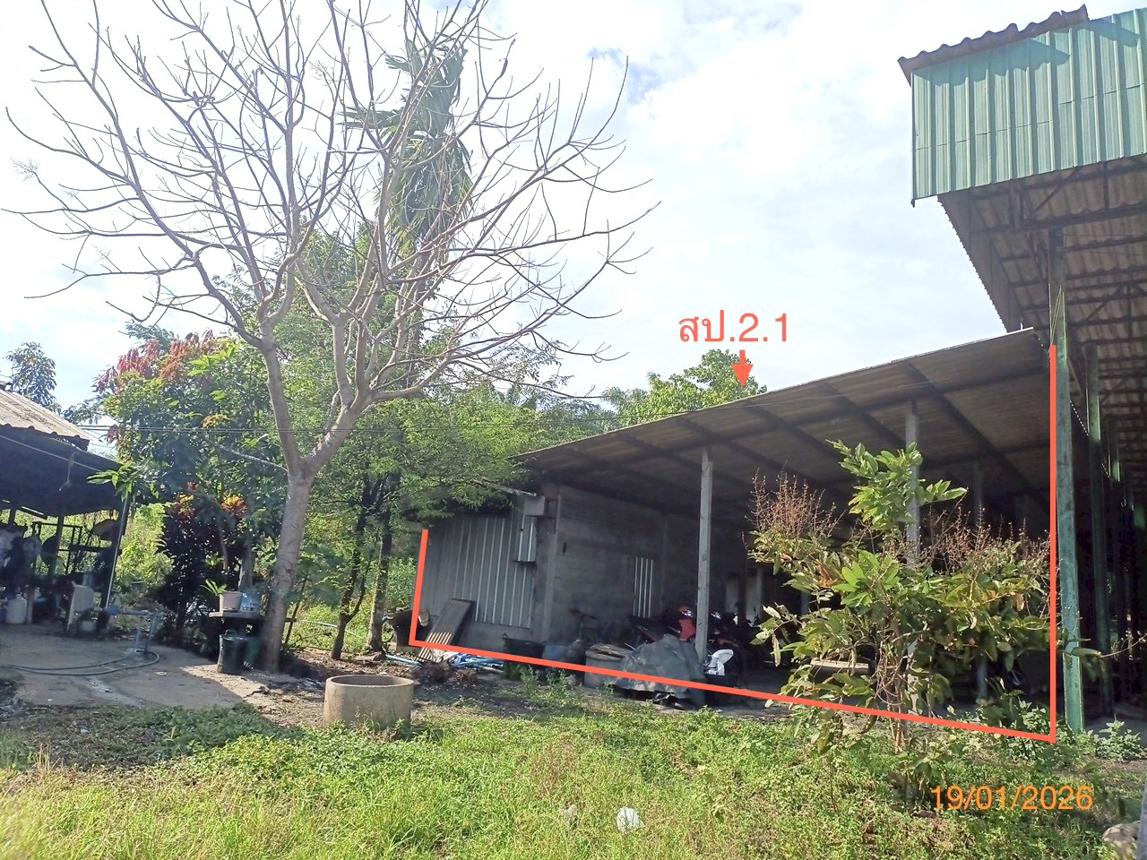 รูป บ้านเดี่ยว สำหรับขาย - บ้านโพธิ์ เมืองตรัง ตรัง - รูปที่ 25/34