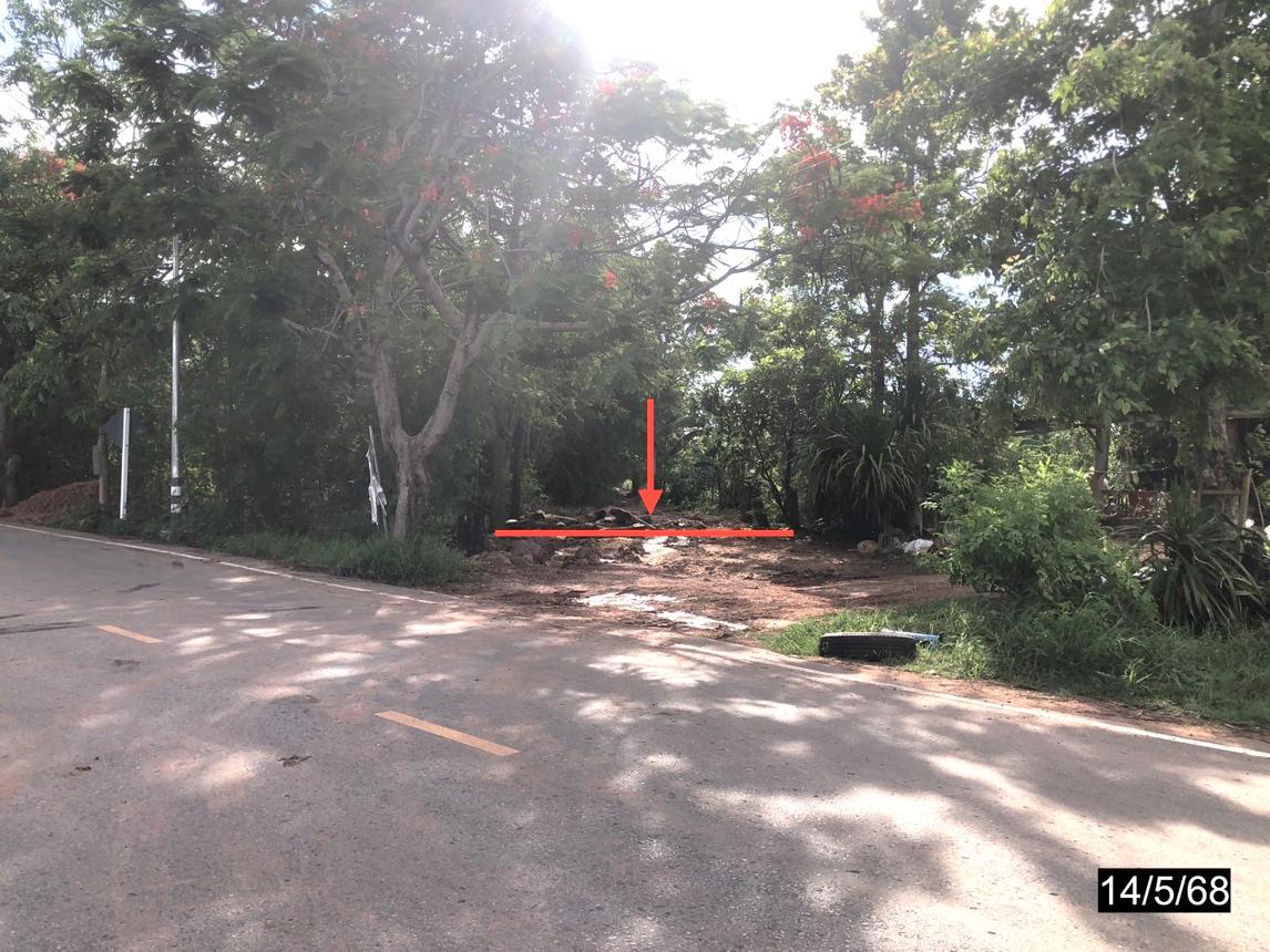 รูป ที่ดินว่างเปล่า สำหรับขาย - หนองสังข์ แก้งคร้อ ชัยภูมิ - รูปที่ 12/26