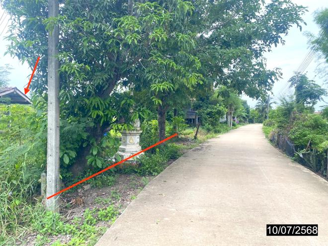 รูป ที่ดินว่างเปล่า สำหรับขาย - คุยม่วง บางระกำ พิษณุโลก - รูปที่ 5/14