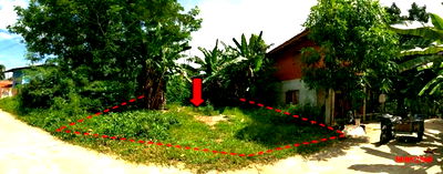 Land for sale Nong Chik Pattani : LAND for sale  Tuyong Nong Chik Pattani