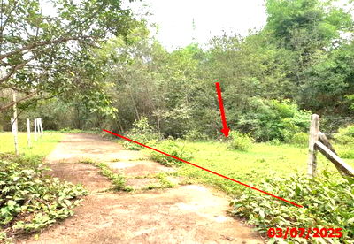 Land for sale Lampang Airport : LAND for sale  Phichai Muang Lampang Lamphang