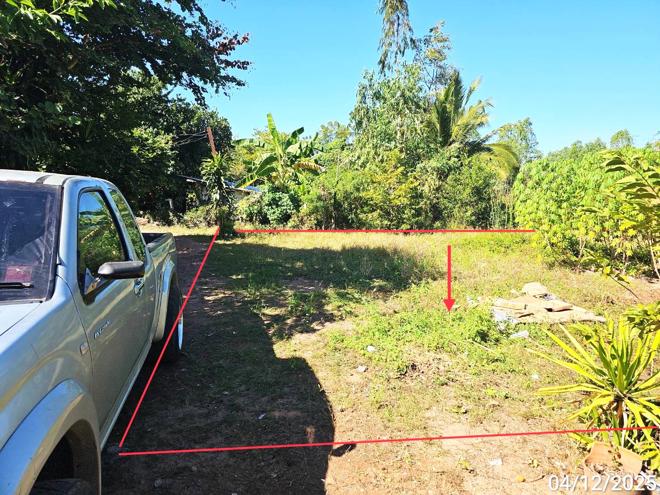 picture LAND for sale Tha Khao Chon Daen Phetchabun - 6/24