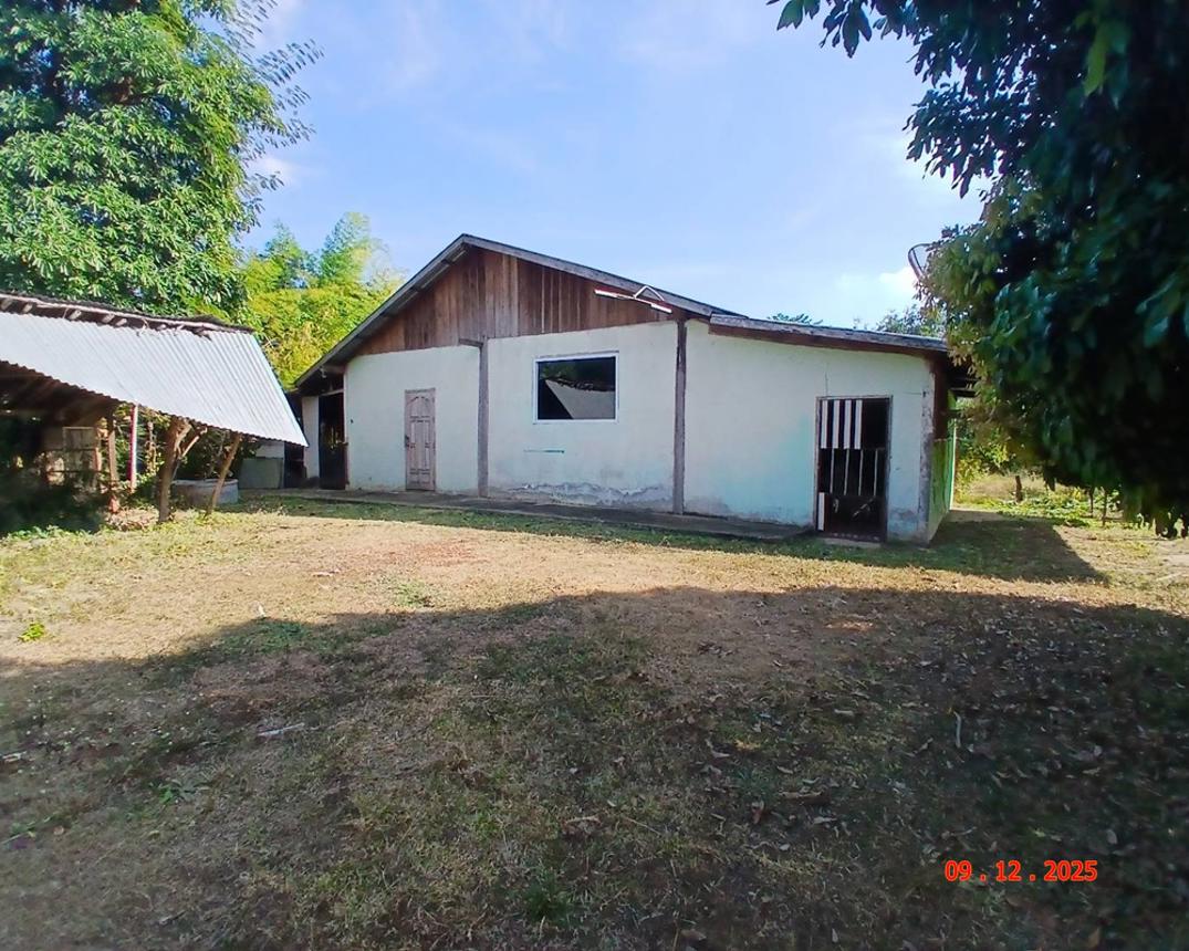 รูป บ้านเดี่ยว สำหรับขาย - คำตากล้า คำตากล้า สกลนคร - รูปที่ 18/36