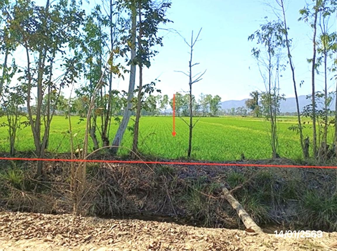 รูป ที่ดินว่างเปล่า สำหรับขาย - ลอ จุน พะเยา - รูปที่ 9/20