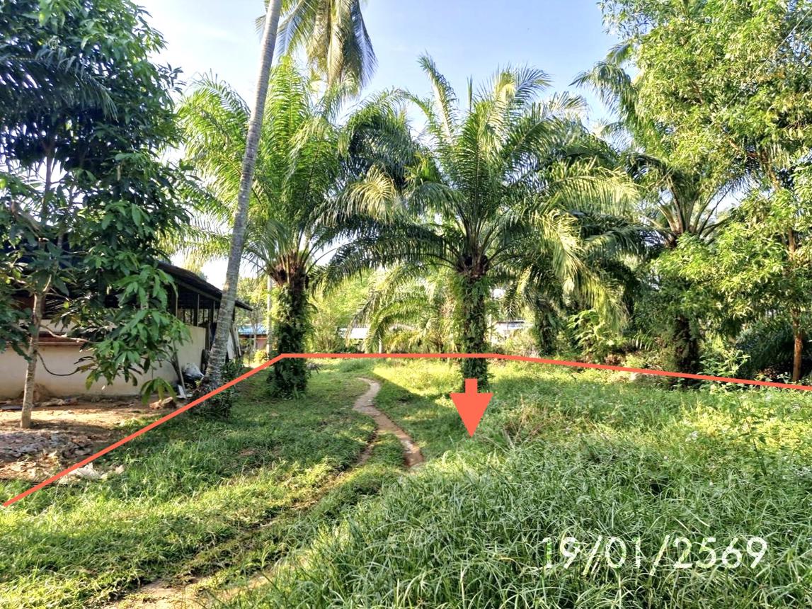 picture HOME for sale Suso Palian Trang - 24/28