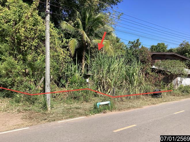 รูป ที่ดินว่างเปล่า สำหรับขาย - นาด่าน สุวรรณคูหา หนองบัวลำภู - รูปที่ 3/20