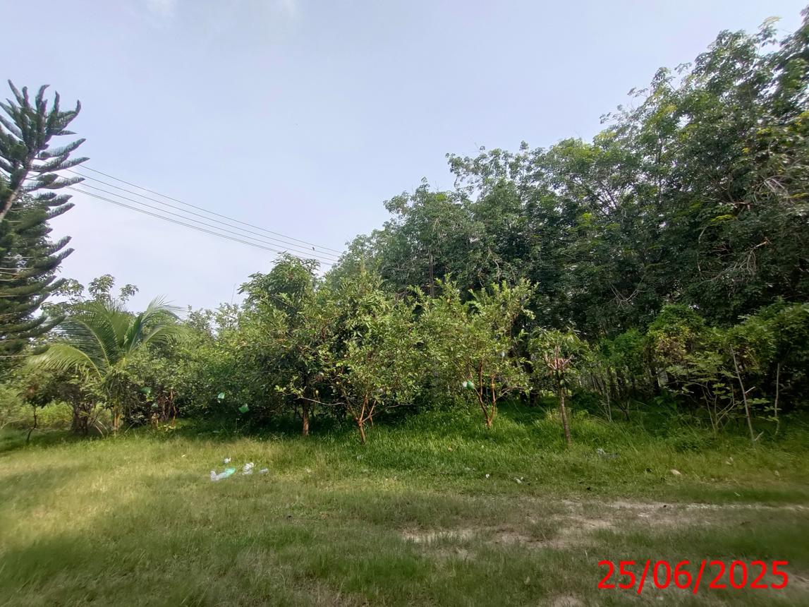 รูป บ้านเดี่ยว สำหรับขาย - เทพา เทพา สงขลา - รูปที่ 11/18