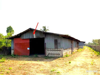 โรงงาน ดอกคำใต้ พะเยา : โกดัง สำหรับขาย - บ้านปิน ดอกคำใต้ พะเยา