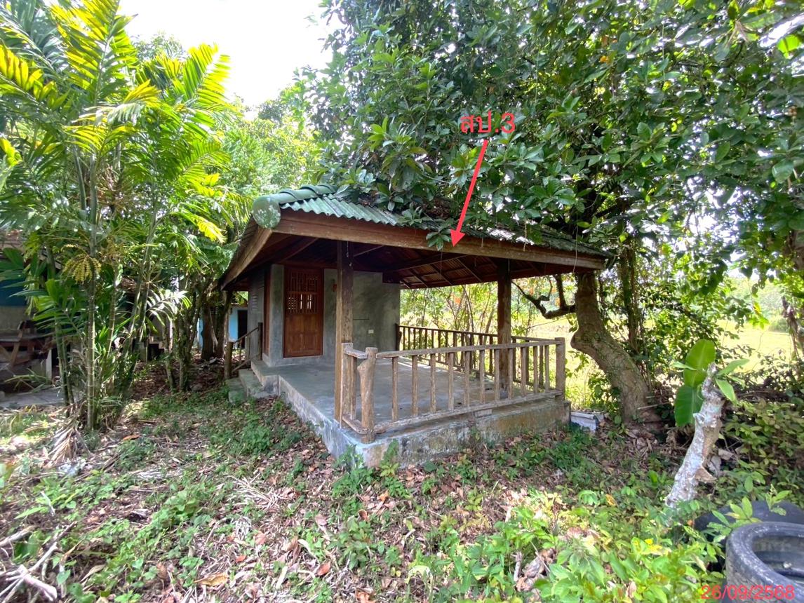 picture HOME for sale Tha Khae Muang Phatthalung Phatthalung - 34/42