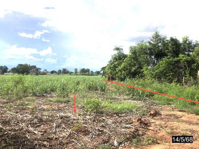 รูป ที่ดินว่างเปล่า สำหรับขาย - หนองสังข์ แก้งคร้อ ชัยภูมิ - รูปที่ 8/26