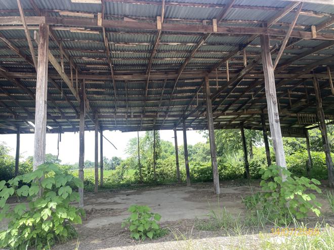 picture FACTORY for sale  Dong Khui Chon Daen Phetchabun - 13/44