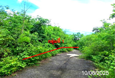 Land for sale Mae Tha Lamphang : LAND for sale  Nam Cho Mae Tha Lamphang