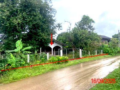 Houses for sale Lamphang : HOME for sale  Mae Pa Thoen Lamphang