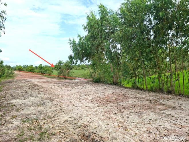 รูป ที่ดินว่างเปล่า สำหรับขาย - บ้านข่า ศรีสงคราม นครพนม - รูปที่ 2/16