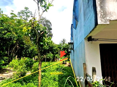 ที่ดินว่างเปล่า สำหรับขาย - ย่านตาขาว ย่านตาขาว ตรัง