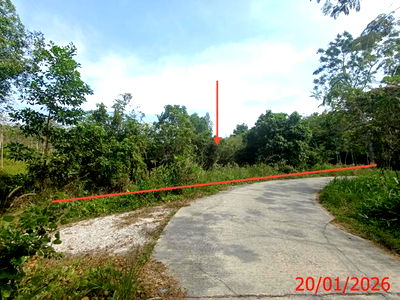 Land for sale Saba Yoi Songkhla : LAND for sale  Pian Saba Yoi Songkhla