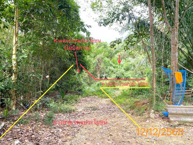 รูป ที่ดินว่างเปล่า สำหรับขาย - คุระ คุระบุรี พังงา - รูปที่ 3/14