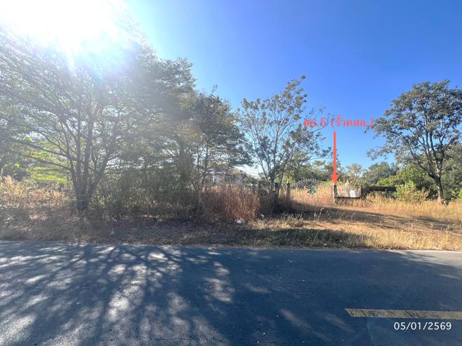 รูป บ้านเดี่ยว สำหรับขาย - ยางขี้นก เขื่องใน อุบลราชธานี - รูปที่ 16/36