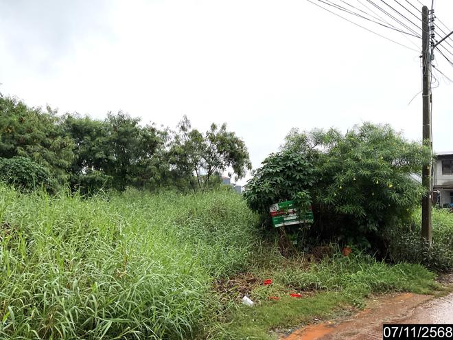 รูป ที่ดินว่างเปล่า สำหรับขาย - หมื่นไวย เมืองนครราชสีมา นครราชสีมา - รูปที่ 8/24