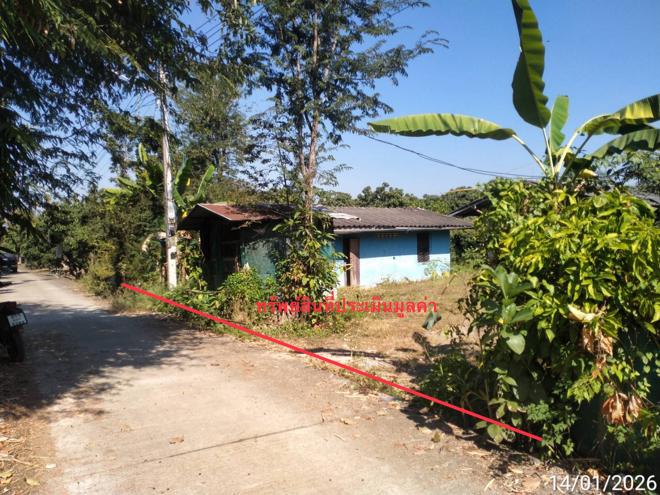 รูป บ้านเดี่ยว สำหรับขาย - บ้านตาล ฮอด เชียงใหม่ - รูปที่ 5/16