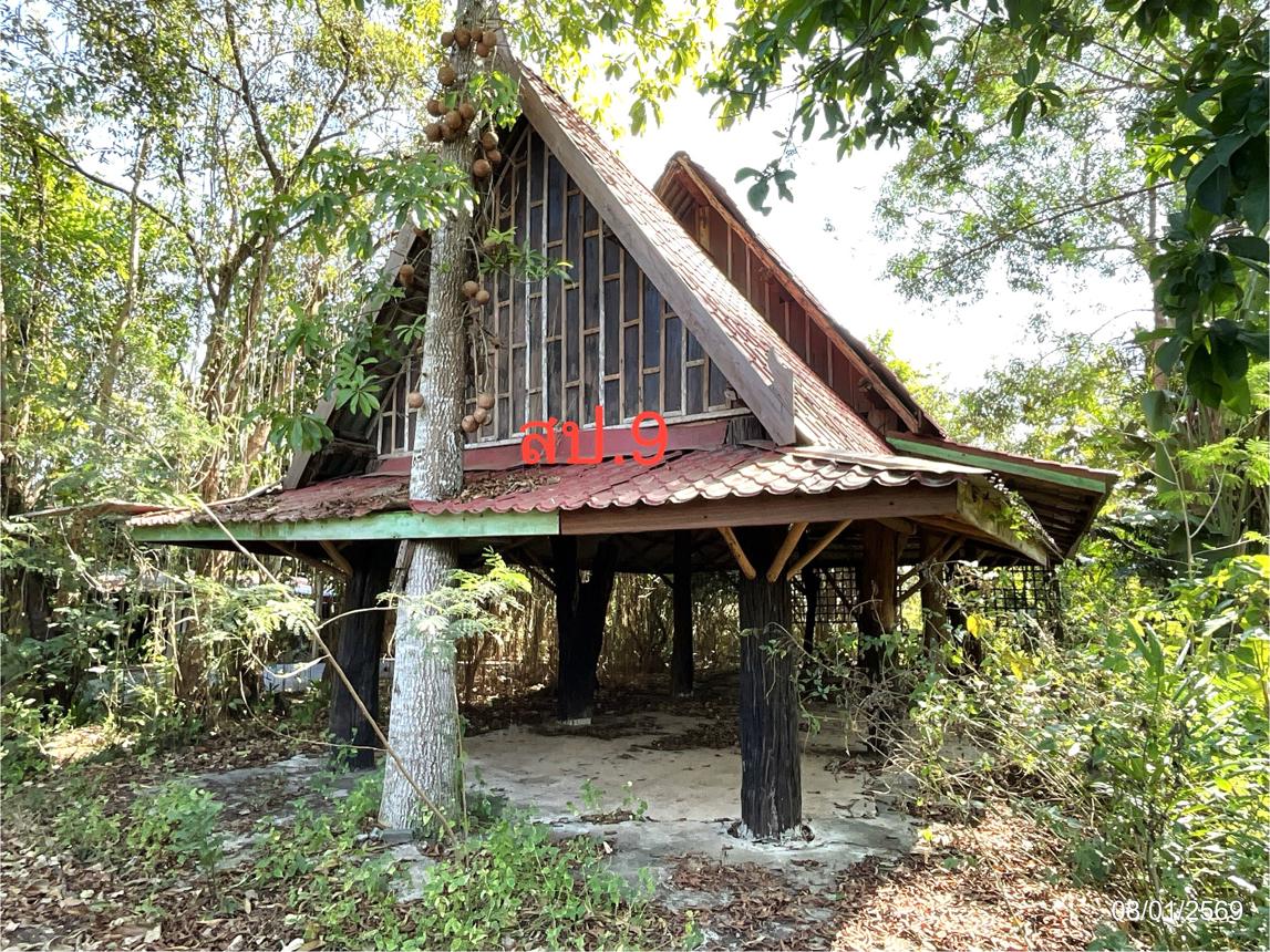 รูป บ้านเดี่ยว สำหรับขาย - ชัยพร เมืองบึงกาฬ บึงกาฬ - รูปที่ 47/52