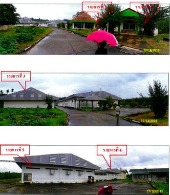 Land for sale Sichon Nakhon Sri Thammarat : FOR SALE  LAND PROPERTY  33784000 BAHT.