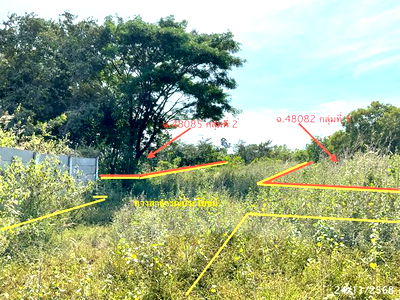 Land for sale Ubon Ratchathani : LAND for sale  Muang Det Det Udom Ubon Ratchathani