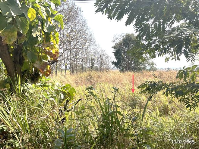 picture LAND for sale  Hong Hin Chun Phayao - 5/20