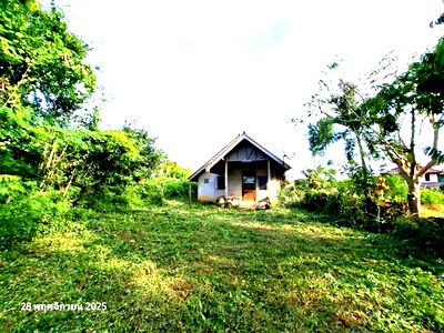Houses for sale Nong Ya Plong Petchburi : HOME for sale  Tha Ta Kraw Nong Ya Plong Petchburi