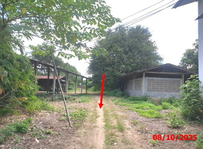 รูป โกดัง สำหรับขาย - หนองล่อง เวียงหนองล่อง ลำพูน - รูปที่ 23/52