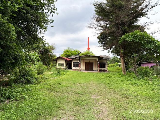 รูป บ้านเดี่ยว สำหรับขาย - ห้วยทับทัน ห้วยทับทัน ศรีสะเกษ - รูปที่ 11/30