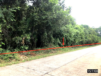 LAND 4372 Sq.w. Yang Talat Kalasin for 4.9M